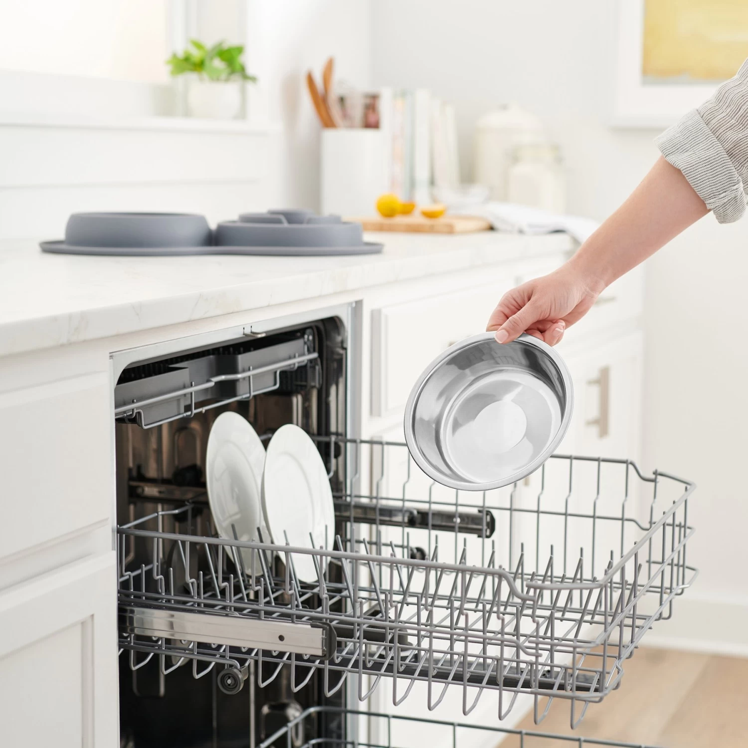 Frisco Silicone Stainless Steel Double Diner Slow Feeder Dog & Cat Bowl, Grey, 3 Cup Frisco Silicone Stainless Steel Double Diner Slow Feeder Dog & Cat Bowl, Grey, 3 Cup -Pet Supplies Shop 277549 PT6. AC SS1800 V1630357992