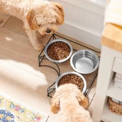 Frisco Multi Pet Feeding Corner 3-Bowls Stainless Steel Dog & Cat Bowl -Pet Supplies Shop 277561 PT2. AC SS1800 V1630346973