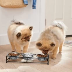 Frisco Multi Pet Feeding 3-Bowls Straight Stainless Steel Dog & Cat Bowl -Pet Supplies Shop 277568 PT2. AC SS1800 V1630346795