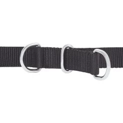 Frisco Basic No Pull Harness -Pet Supplies Shop 277873 PT2. AC SS1800 V1629760100