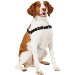 Frisco Basic No Pull Harness -Pet Supplies Shop 277873 PT3. AC SS1800 V1629766656