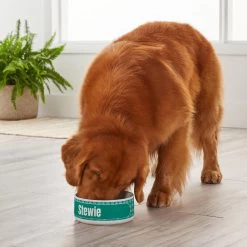 Frisco General Pet Ceramic Personalized Dog & Cat Bowl -Pet Supplies Shop 278922 PT3. AC SS1800 V1629147409