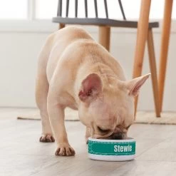 Frisco Personalized General Dog & Cat Small Dog Bowl 3 Frisco Personalized General Dog & Cat Small Dog Bowl -Pet Supplies Shop 278924 PT3. AC SS1800 V1629147374