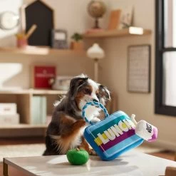 Frisco Back To School Lunchbox With Juice & Apple Plush With Rope Squeaky Dog Toy -Pet Supplies Shop 279427 PT3. AC SS1800 V1628191372