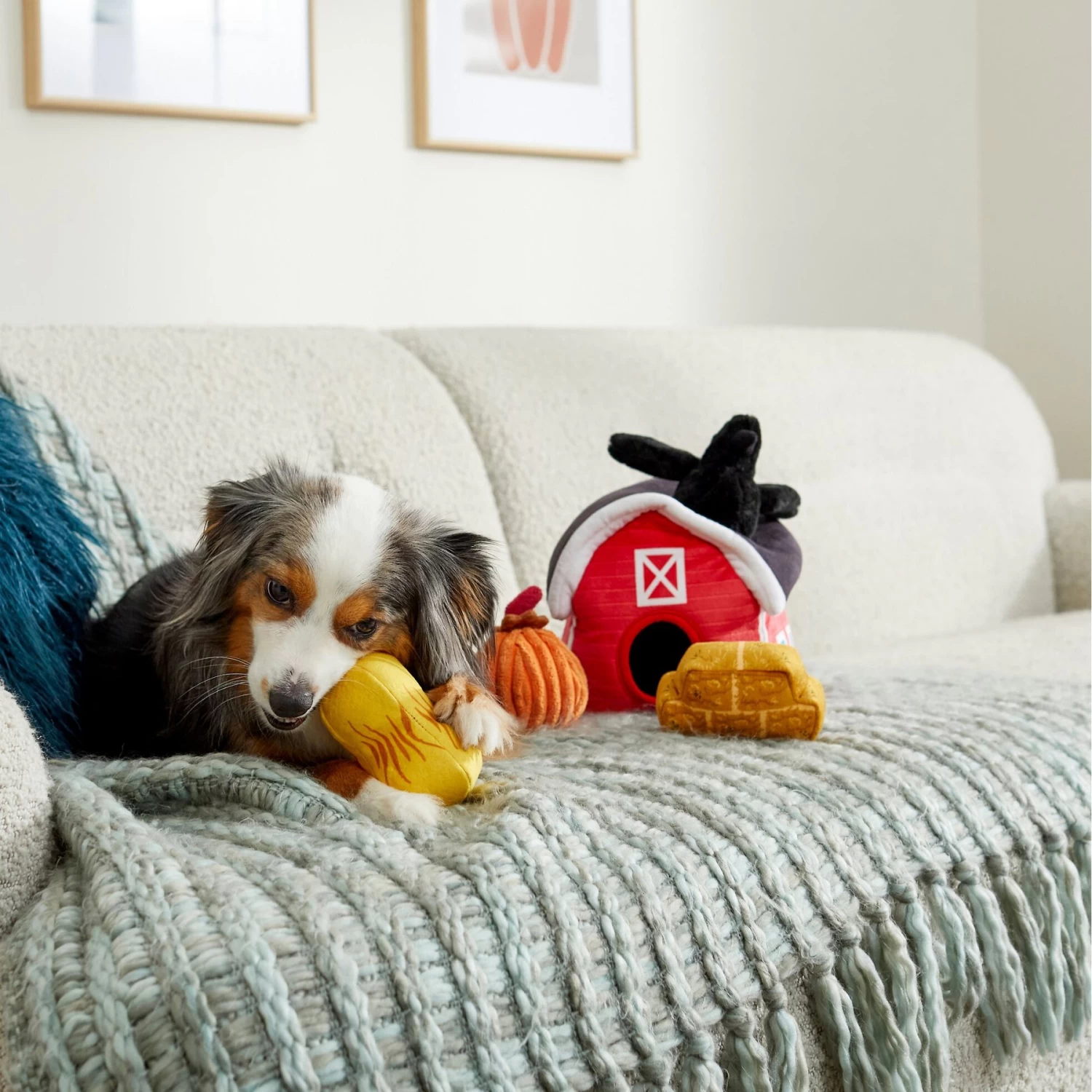 Frisco Fall Farmhouse Hide & Seek Puzzle Plush Squeaky Dog Toy Frisco Fall Farmhouse Hide & Seek Puzzle Plush Squeaky Dog Toy -Pet Supplies Shop 285629 PT3. AC SS1800 V1629725107