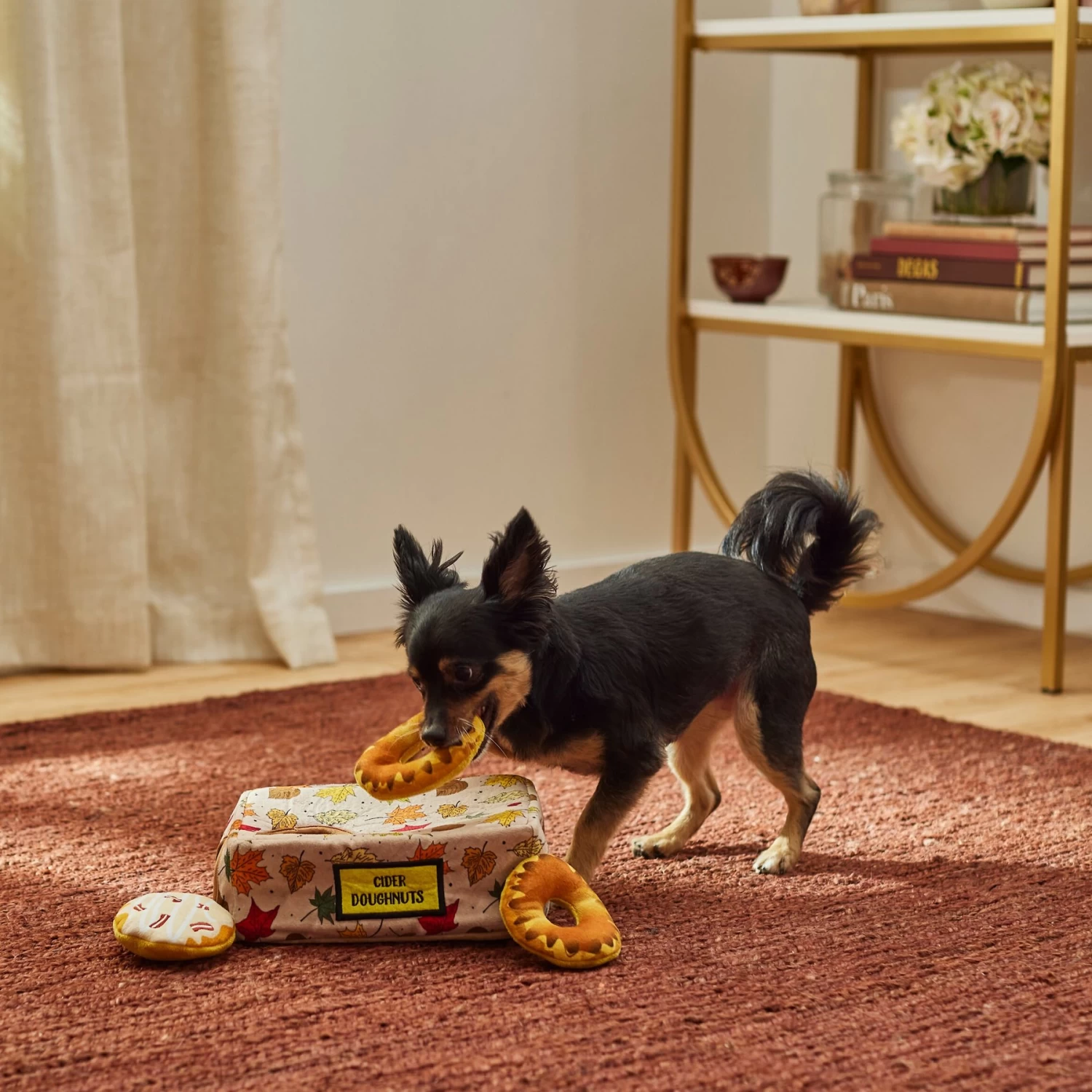 Frisco Fall Box of Donuts Hide & Seek Puzzle Plush Squeaky Dog Toy Frisco Fall Box Of Donuts Hide & Seek Puzzle Plush Squeaky Dog Toy -Pet Supplies Shop 285639 PT3. AC SS1800 V1629725027