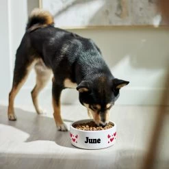 Frisco Hearts Ceramic Personalized Dog Bowl -Pet Supplies Shop 286995 PT4. AC SS1800 V1639518111