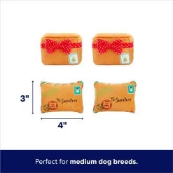 Frisco Holiday North Pole Mailbox Hide & Seek Puzzle Plush Squeaky Dog Toy -Pet Supplies Shop 287095 PT2. AC SS1800 V1695043914