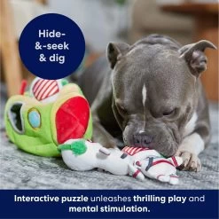 Frisco Holiday Rocket Ship Hide & Seek Puzzle Plush Squeaky Dog Toy -Pet Supplies Shop 287101 PT5. AC SS1800 V1695659151