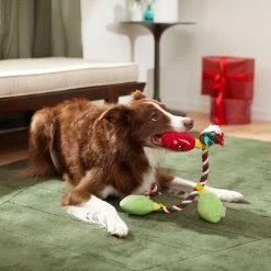 Frisco Holiday Lights Plush With Rope Squeaky Dog Toy 2 Frisco Holiday Lights Plush With Rope Squeaky Dog Toy -Pet Supplies Shop 287109 PT3. AC SS1800 V1632775707
