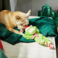 Frisco Holiday Monkey Plush With Rope Squeaky Dog Toy -Pet Supplies Shop 287115 PT3. AC SS1800 V1632774182