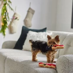 Frisco Holiday Bacon Plush Squeaky Dog Toy, 2 Count -Pet Supplies Shop 287143 PT3. AC SS1800 V1632774888