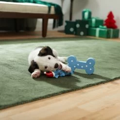 Frisco Blue Bundle Latex Squeaky Puppy Toy, 2 Count 2 Frisco Blue Bundle Latex Squeaky Puppy Toy, 2 Count -Pet Supplies Shop 287185 PT3. AC SS1800 V1632775643