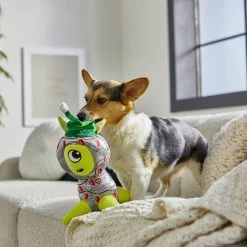 Frisco Holiday Alien Plush Squeaky Dog Toy -Pet Supplies Shop 287201 PT3. AC SS1800 V1632775002