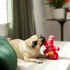 Frisco Holiday Naughty Or Nice Gingerbread Man Reversible Plush Squeaky Dog Toy 3 Frisco Holiday Naughty Or Nice Gingerbread Man Reversible Plush Squeaky Dog Toy -Pet Supplies Shop 287217 PT3. AC SS1800 V1632775304