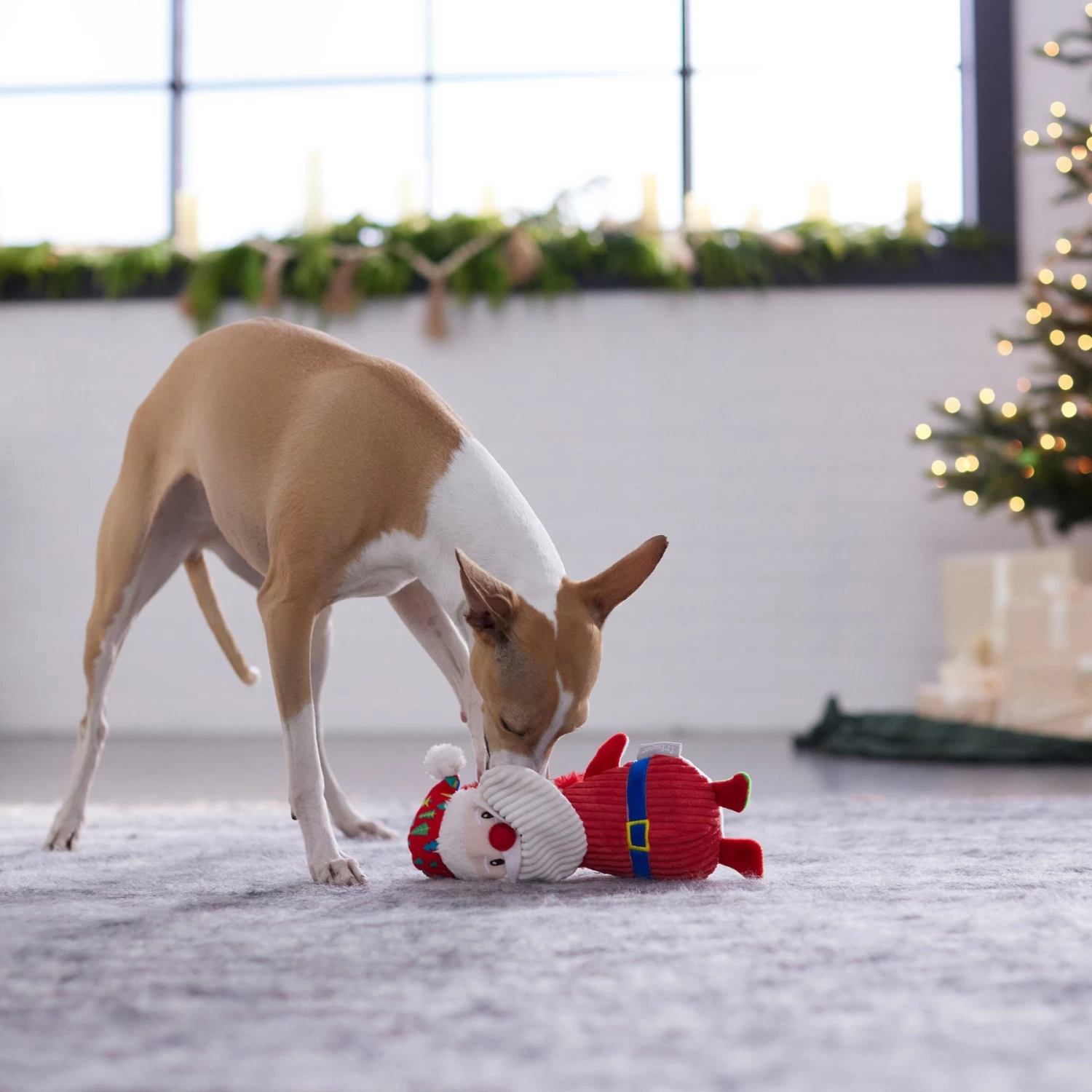 Frisco Holiday Santa & Snowman Reversible Plush Squeaky Dog Toy Frisco Holiday Santa & Snowman Reversible Plush Squeaky Dog Toy -Pet Supplies Shop 287263 PT3. AC SS1800 V1632775712
