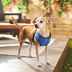 Frisco Padded Step-In Harness -Pet Supplies Shop 287451 PT8. AC SS1800 V1631669389