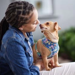 Frisco Fashion Over-The-Head Harness, Tropical Floral -Pet Supplies Shop 287476 PT8. AC SS1800 V1632316953