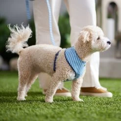 Frisco Fashion Over-The-Head Harness, Striped -Pet Supplies Shop 287479 PT8. AC SS1800 V1632315513