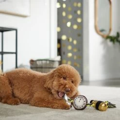 Frisco New Year's Eve Midnight Countdown Plush With Rope Squeaky Dog Toy 2 Frisco New Year's Eve Midnight Countdown Plush With Rope Squeaky Dog Toy -Pet Supplies Shop 288478 PT3. AC SS1800 V1638289625