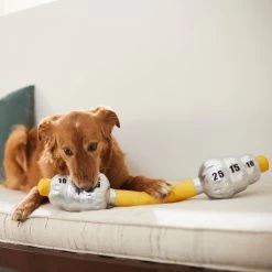 Frisco Weight Bar Wagazoo Plush Squeaky Dog Toy -Pet Supplies Shop 288917 PT3. AC SS1800 V1638292413