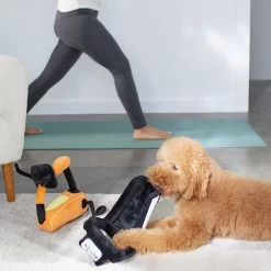 Frisco Treadmill & Bike Plush Squeaky Dog Toy, 2 Count -Pet Supplies Shop 288921 PT3. AC SS1800 V1638290517