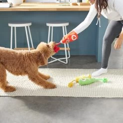 Frisco New Year, New Me Juice Cleanse Plush Squeaky Dog Toy -Pet Supplies Shop 288929 PT3. AC SS1800 V1638289348