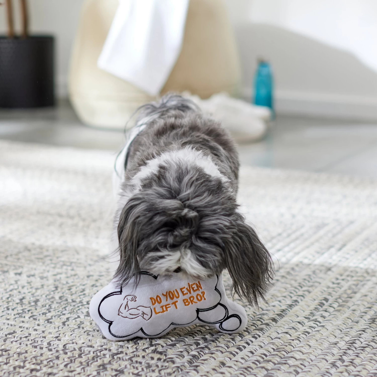 Frisco Message Bubble Plush Squeaky Dog Toy Frisco Message Bubble Plush Squeaky Dog Toy -Pet Supplies Shop 288941 PT3. AC SS1800 V1638289328