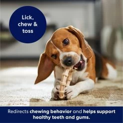 Frisco Ring Tough Nylon Chew Dog Toy, Chicken Flavor 4 Frisco Ring Tough Nylon Chew Dog Toy, Chicken Flavor -Pet Supplies Shop 290533 PT4. AC SS1800 V1695760990