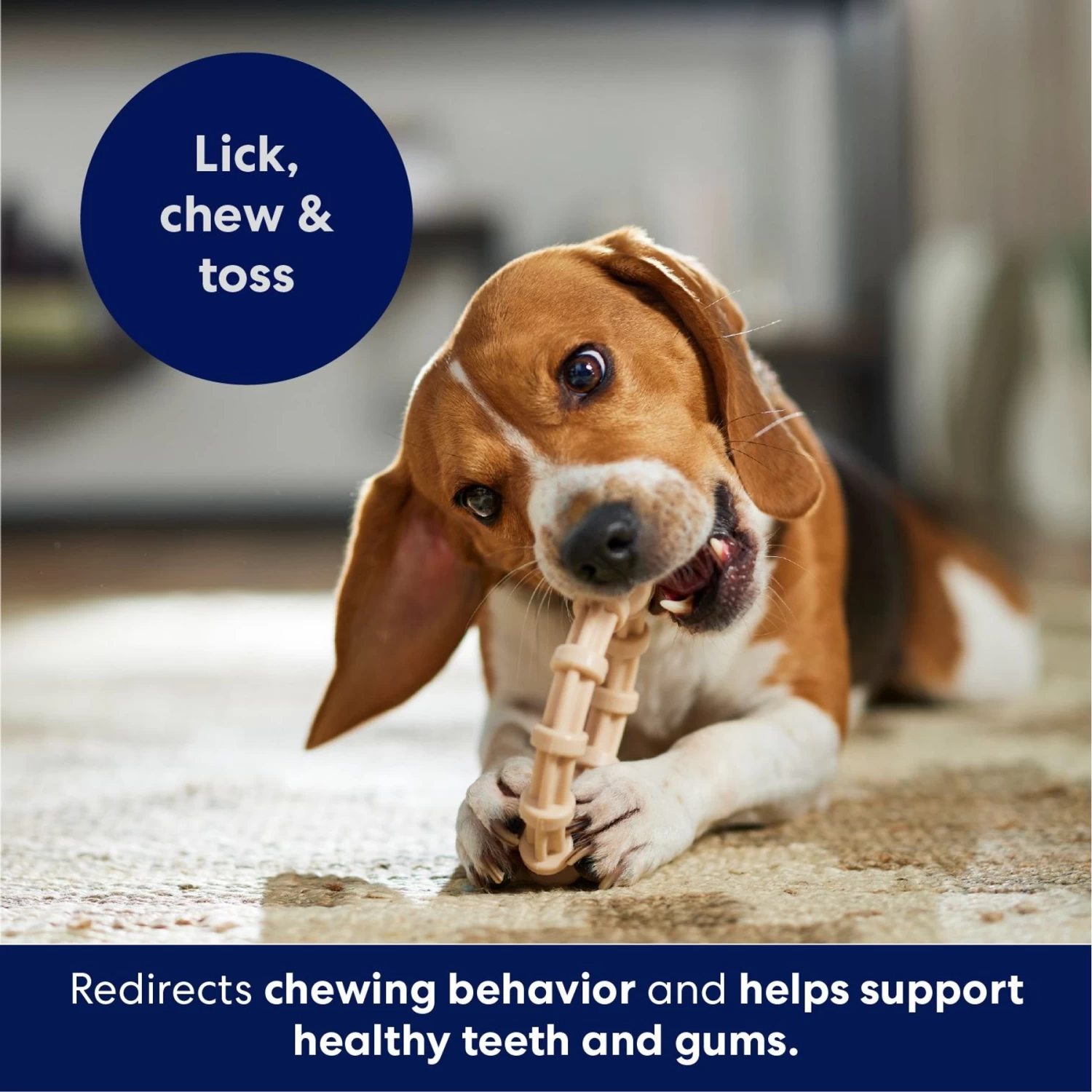 Frisco Ring Tough Nylon Chew Dog Toy, Chicken Flavor Frisco Ring Tough Nylon Chew Dog Toy, Chicken Flavor -Pet Supplies Shop 290533 PT4. AC SS1800 V1695760990