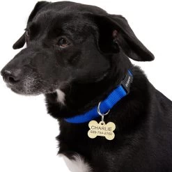 Frisco Brass Personalized Dog ID Tag -Pet Supplies Shop 296191 PT6. AC SS1800 V1628186565
