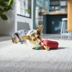 Frisco Brunch Bloody Mary Plush Squeaky Dog Toy 2 Frisco Brunch Bloody Mary Plush Squeaky Dog Toy -Pet Supplies Shop 297228 PT2. AC SS1800 V1642088343