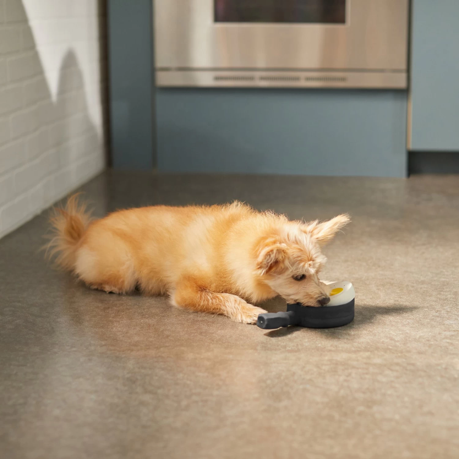 Frisco Brunch Breakfast Skillet Latex Squeaky Dog Toy, 2 count Frisco Brunch Breakfast Skillet Latex Squeaky Dog Toy, 2 Count -Pet Supplies Shop 297264 PT2. AC SS1800 V1642088320