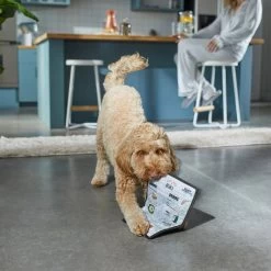 Frisco Brunch Menu Ballistic Nylon Flat Plush Squeaky Dog Toy -Pet Supplies Shop 297276 PT2. AC SS1800 V1642088788