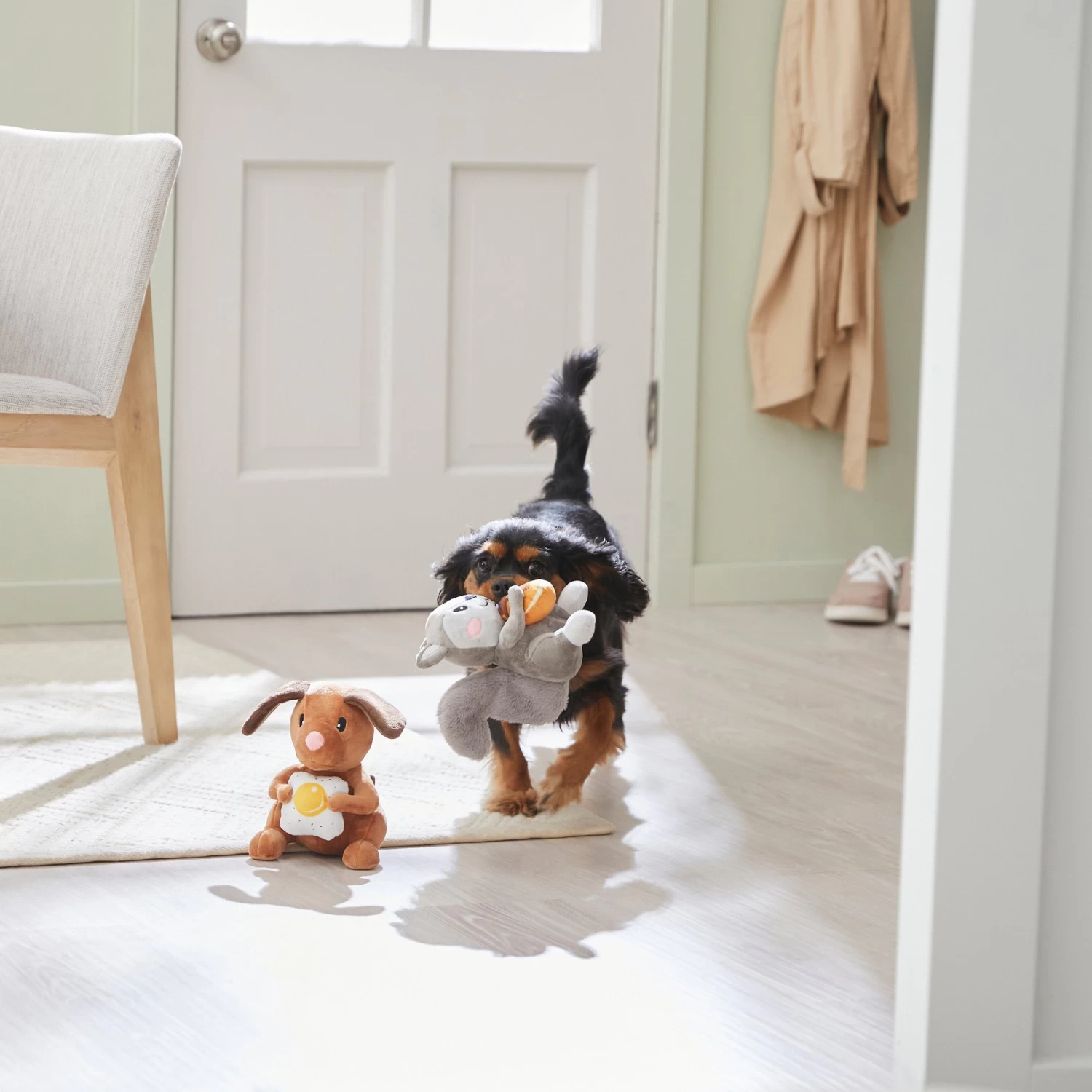 Frisco Brunch Flying Breakfast Critters Plush Squeaky Dog Toy Frisco Brunch Flying Breakfast Critters Plush Squeaky Dog Toy -Pet Supplies Shop 297280 PT2. AC SS1800 V1642088192