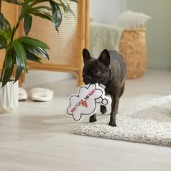 Frisco Brunch Word Bubble Plush Squeaky Dog Toy -Pet Supplies Shop 297286 PT3. AC SS1800 V1642087915