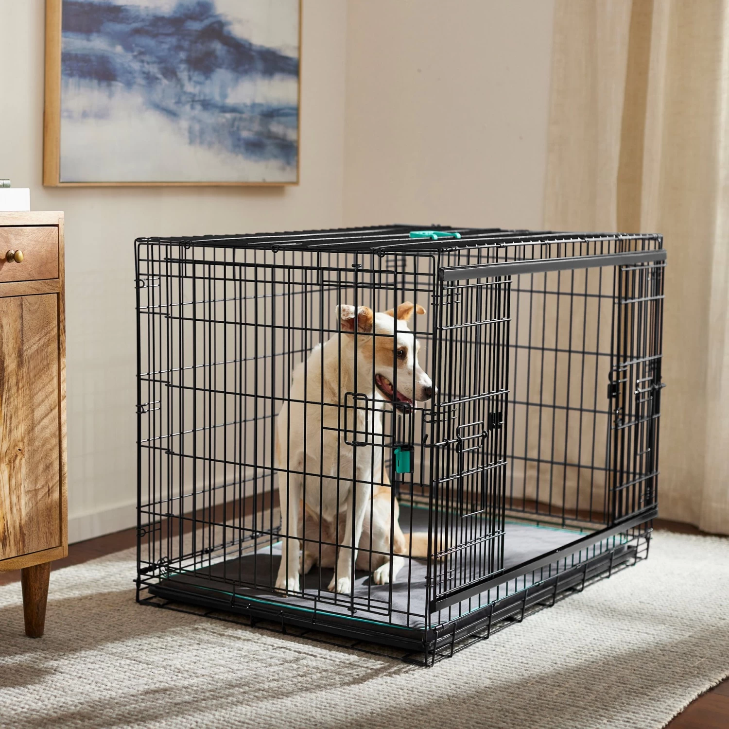 Frisco Heavy Duty Enhanced Lock Sliding Double Door Fold & Carry Wire Dog Crate & Mat Kit Frisco Heavy Duty Enhanced Lock Sliding Double Door Fold & Carry Wire Dog Crate & Mat Kit -Pet Supplies Shop 297461 MAIN. AC SS1800 V1633625190