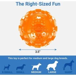 Frisco Fetch Squeaky TPR Ball Dog Toy & Bones & Chews Pig Ear Chews Dog Treats 2 Frisco Fetch Squeaky TPR Ball Dog Toy & Bones & Chews Pig Ear Chews Dog Treats -Pet Supplies Shop 297964 PT2. AC SS1800 V1623255143