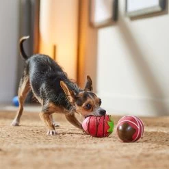 Frisco Valentine Chocolate Covered Strawberries Latex Squeaky Dog Toy -Pet Supplies Shop 298923 PT3. AC SS1800 V1701365172