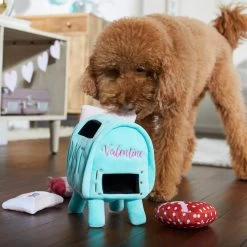 Frisco Valentine Love Letters Hide & Seek Puzzle Plush Squeaky Dog Toy -Pet Supplies Shop 298929 PT3. AC SS1800 V1638987486