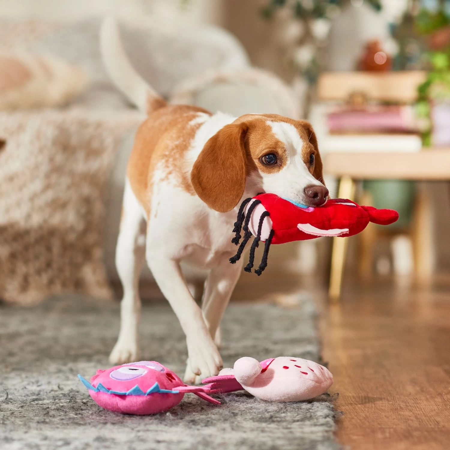 Frisco Valentine Love Monsters Plush Squeaky Dog Toy Frisco Valentine Love Monsters Plush Squeaky Dog Toy -Pet Supplies Shop 298931 PT3. AC SS1800 V1701365187