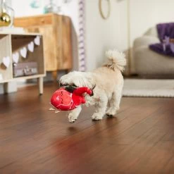 Frisco Valentine Anatomical Heart Plush Squeaky Dog Toy -Pet Supplies Shop 298933 PT3. AC SS1800 V1638987632