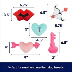 Frisco Valentine Kissing Booth Hide & Seek Puzzle Plush Squeaky Dog Toy -Pet Supplies Shop 298943 PT2. AC SS1800 V1701364811