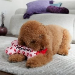Frisco Valentine My First Valentine's Bone Reversible Plush Squeaky Dog Toy -Pet Supplies Shop 298945 PT3. AC SS1800 V1638987722