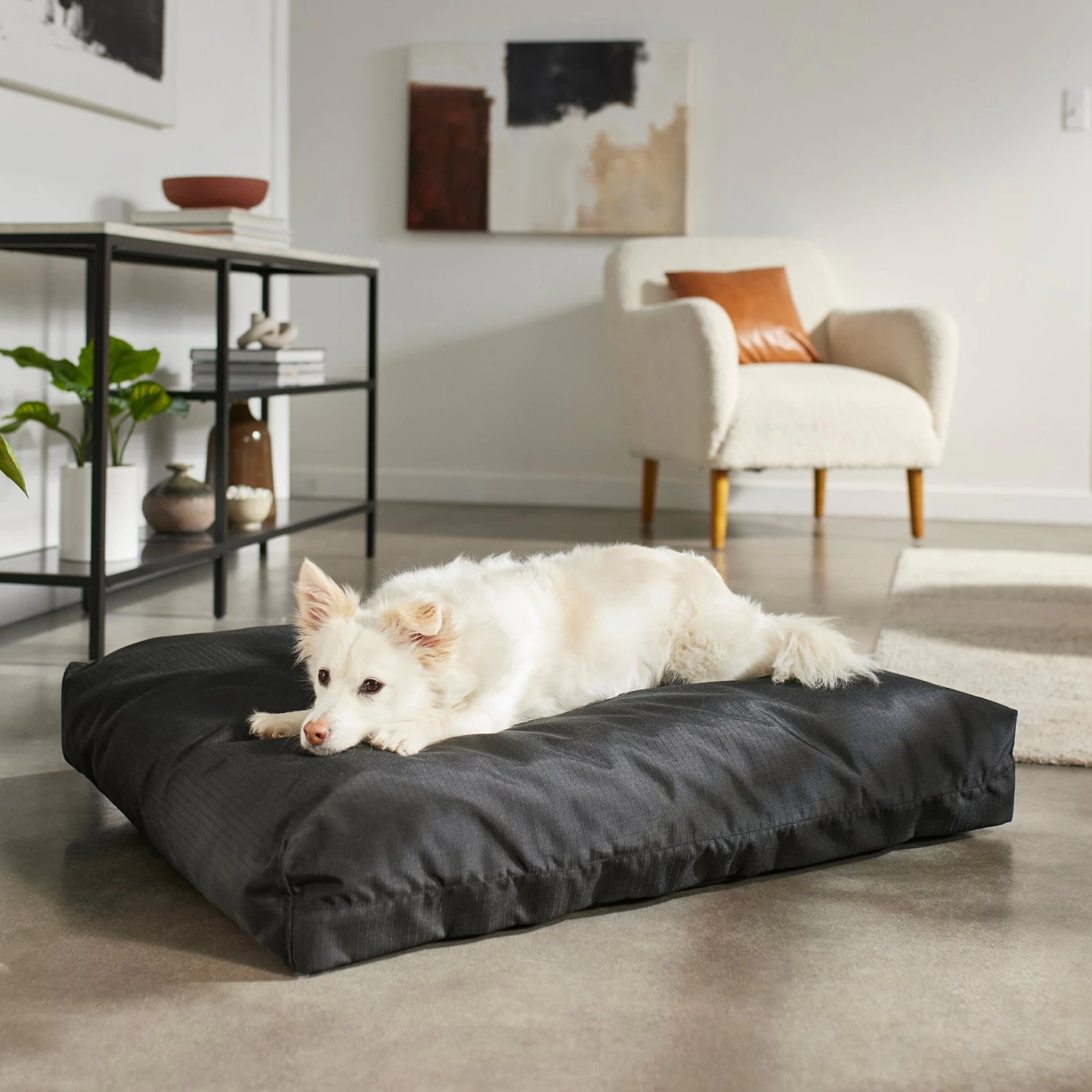Frisco Durable Faux Gusset Dog & Cat Bed Frisco Durable Faux Gusset Dog & Cat Bed -Pet Supplies Shop 299424 MAIN. AC SS1800 V1638292148