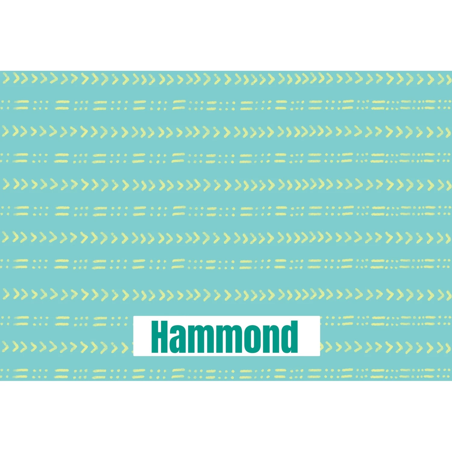 Frisco Mudcloth Personalized Dog & Cat Placemat Frisco Mudcloth Personalized Dog & Cat Placemat -Pet Supplies Shop 299552 PT2. AC SS1800 V1636048646