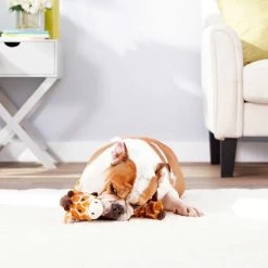 Frisco Giraffe Bungee Plush Squeaky Dog Toy & Frisco Sloth Bungee Plush Squeaky Dog Toy -Pet Supplies Shop 302402 PT4. AC SS1800 V1623089556