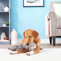Frisco Giraffe Bungee Plush Squeaky Dog Toy & Frisco Sloth Bungee Plush Squeaky Dog Toy -Pet Supplies Shop 302402 PT8. AC SS1800 V1623091941