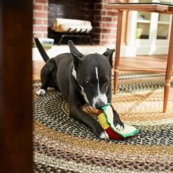 Frisco Pizza Slice Plush Squeaky Dog Toy & Frisco Taco Plush Squeaky Dog Toy -Pet Supplies Shop 302494 PT6. AC SS1800 V1623071256