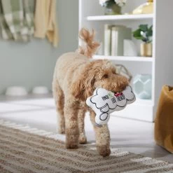 Frisco St. Patrick's Thought Bubble Reversible Plush Squeaky Dog Toy -Pet Supplies Shop 303134 PT4. AC SS1800 V1702500565